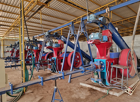 Briquetting Plant